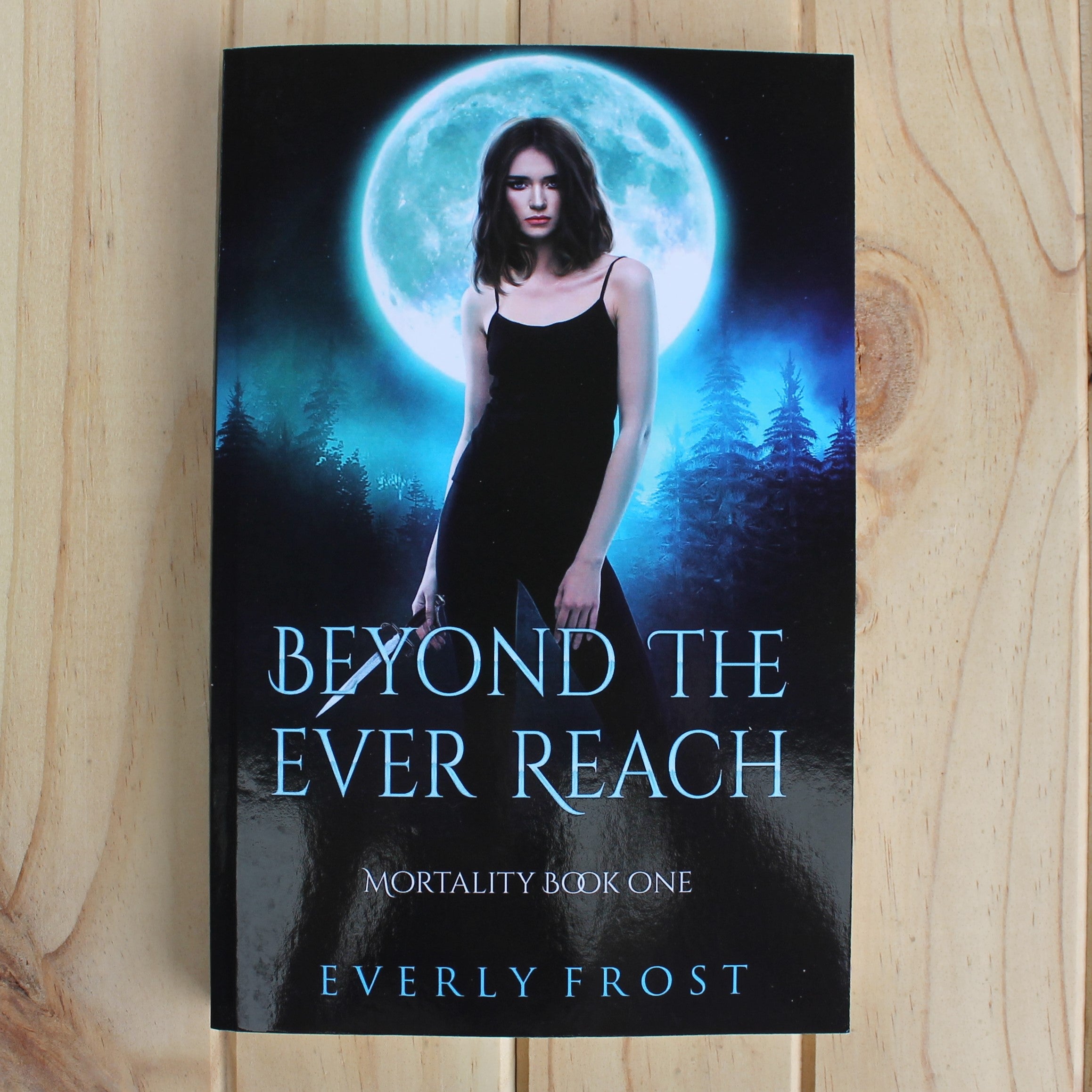 Beyond the Ever Reach by Everly Frost