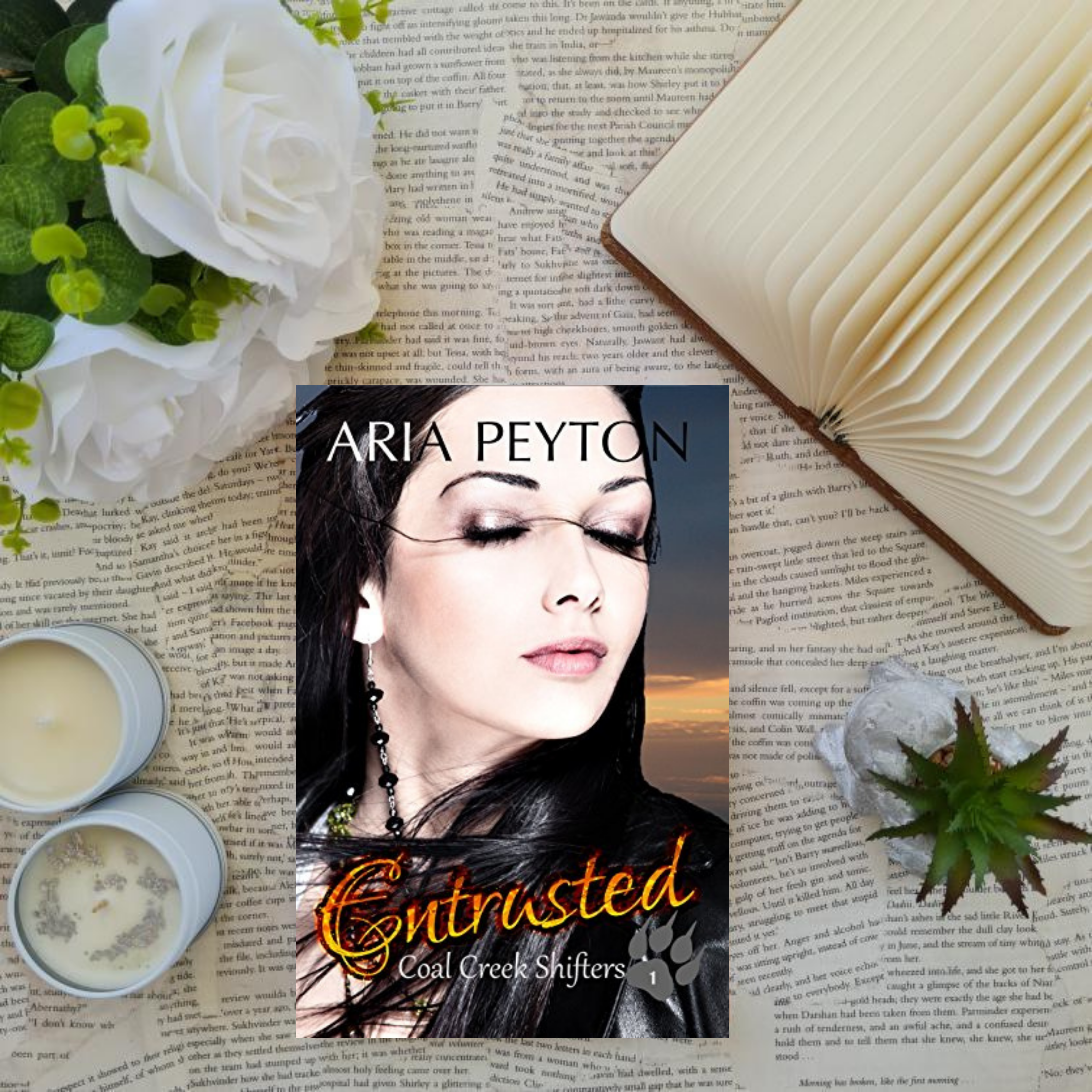 Entrusted by Aria Peyton